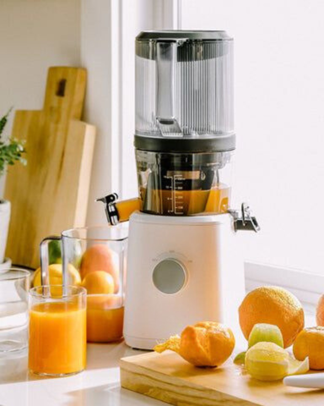 Cold Pressed Juicer